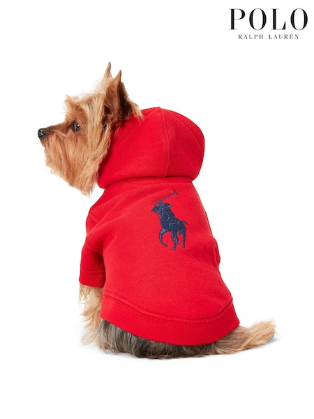 Ralph Lauren Red Dog Jumper (K86986) | £80