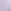 Lilac Purple