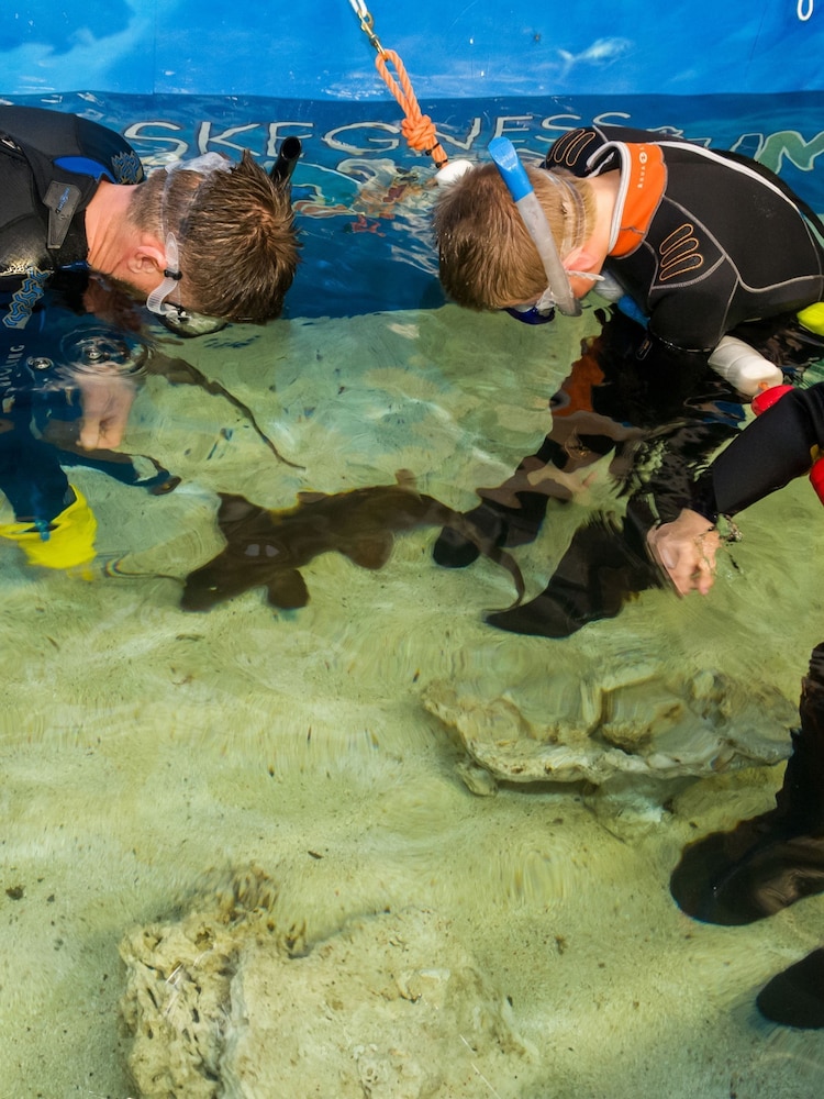 Virgin Experience Days Junior Snorkel Baby Sharks - Image 1 of 4
